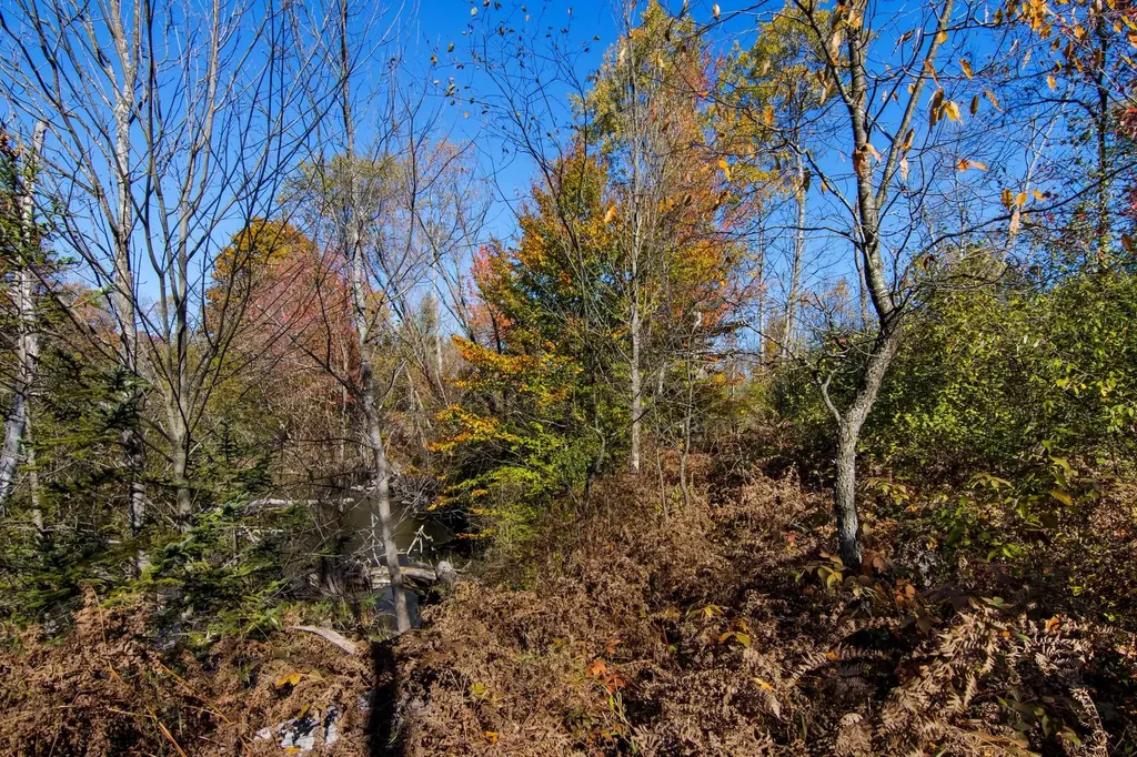 Parcels A Wild River Way Springdale Township MI 49683