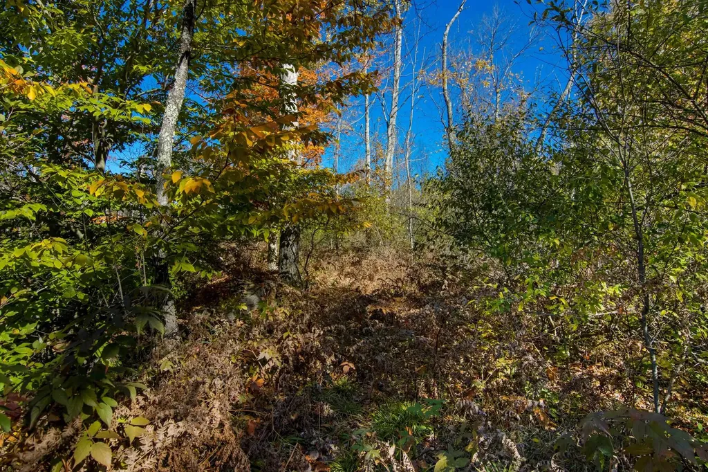 Parcels A Wild River Way Springdale Township MI 49683