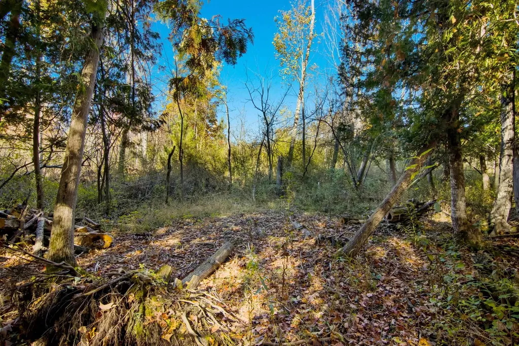 Parcels A Wild River Way Springdale Township MI 49683