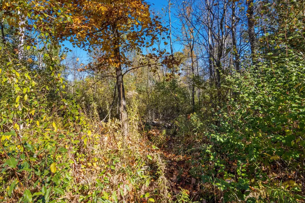 Parcels A Wild River Way Springdale Township MI 49683