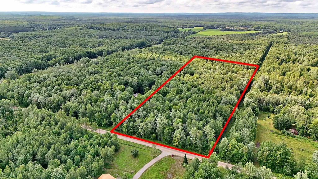 V/l Phelps Road Norwich Township MI 49651