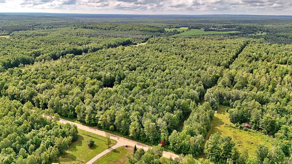 V/l Phelps Road Norwich Township MI 49651