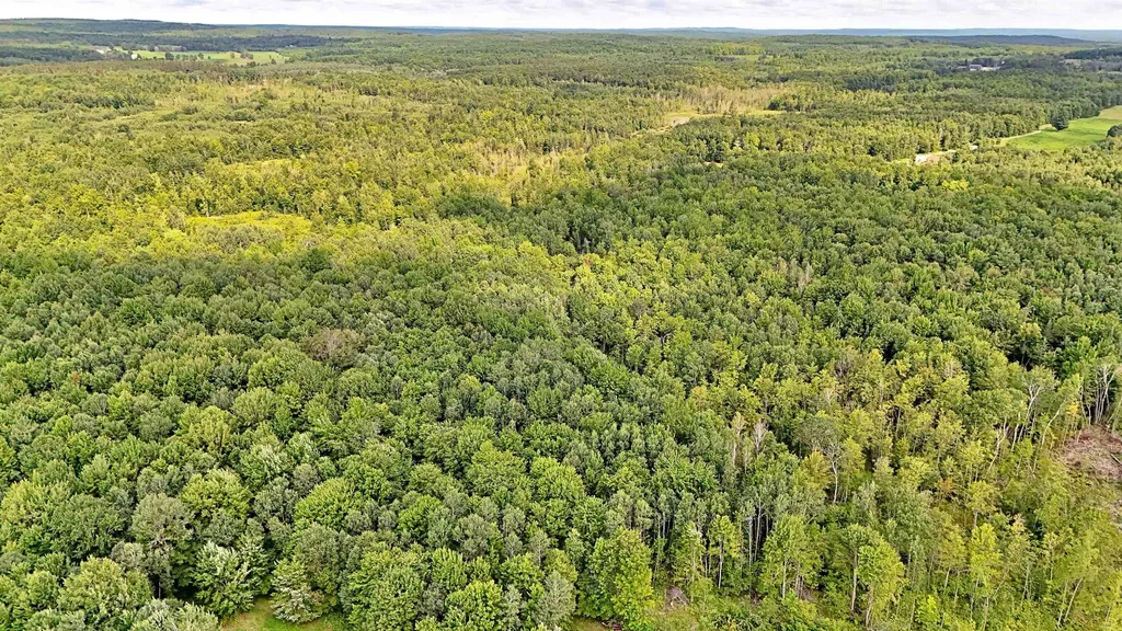 V/l Phelps Road Norwich Township MI 49651