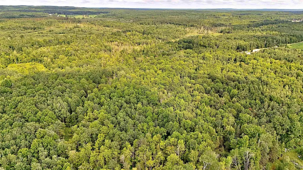 V/l Phelps Road Norwich Township MI 49651