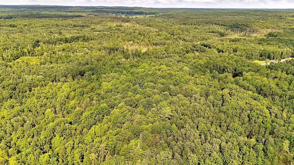 V/l Phelps Road Norwich Township MI 49651