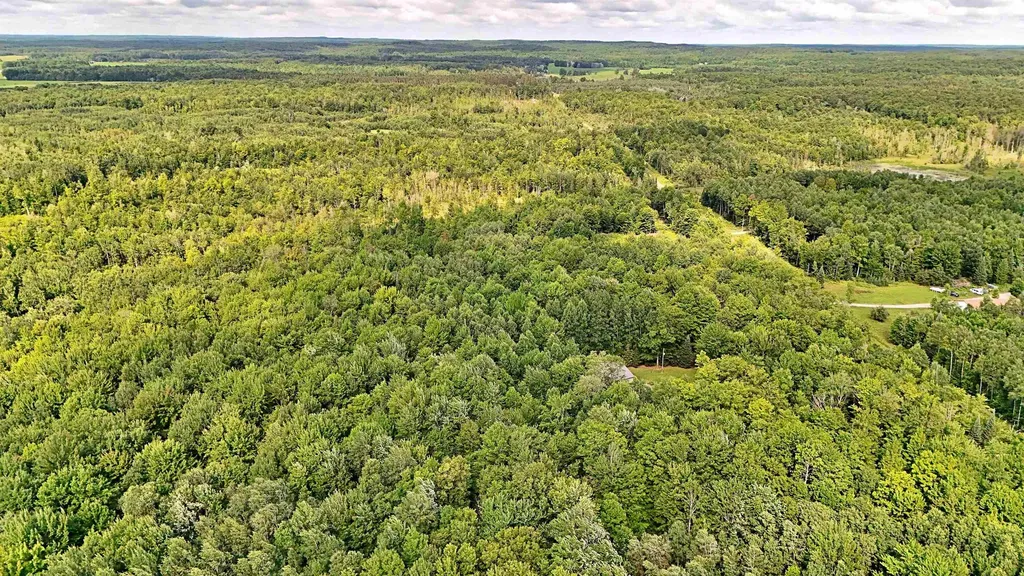 V/l Phelps Road Norwich Township MI 49651