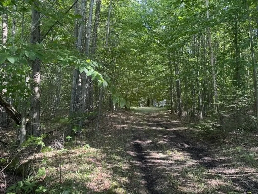 V/l Phelps Road Norwich Township MI 49651