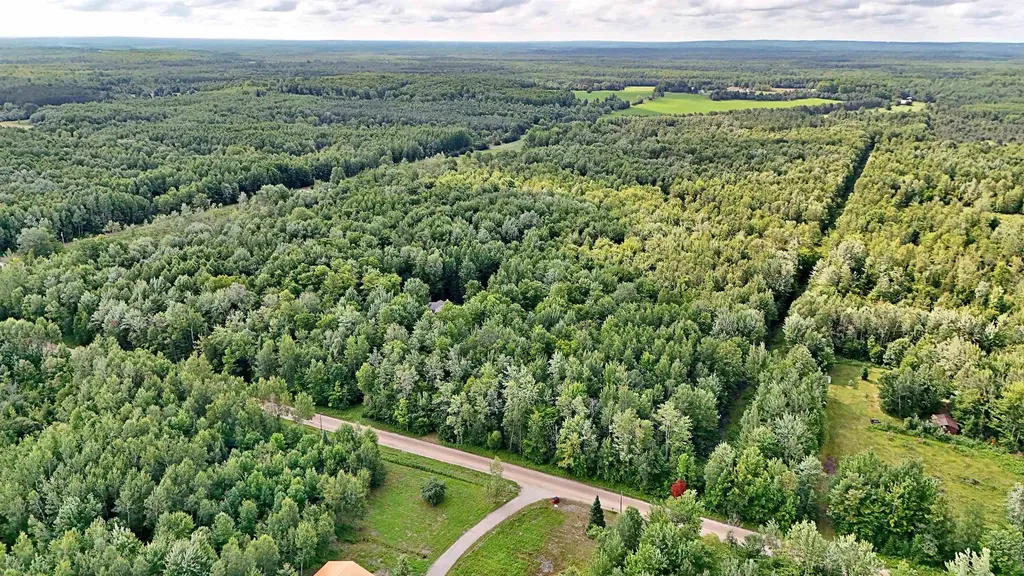 V/l Phelps Road Norwich Township MI 49651