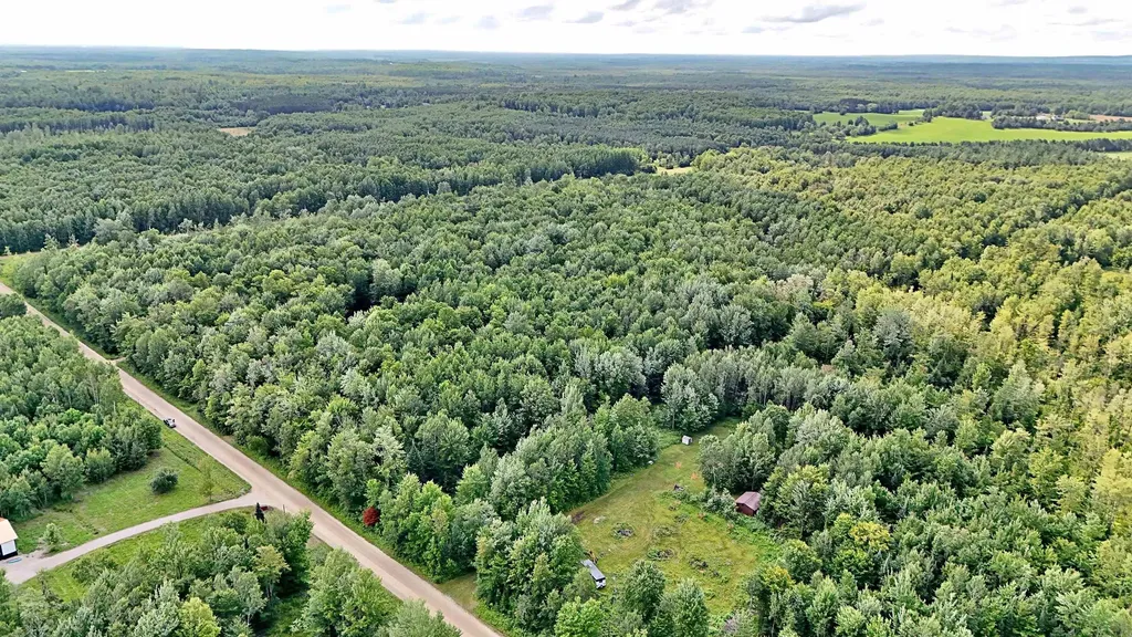 V/l Phelps Road Norwich Township MI 49651