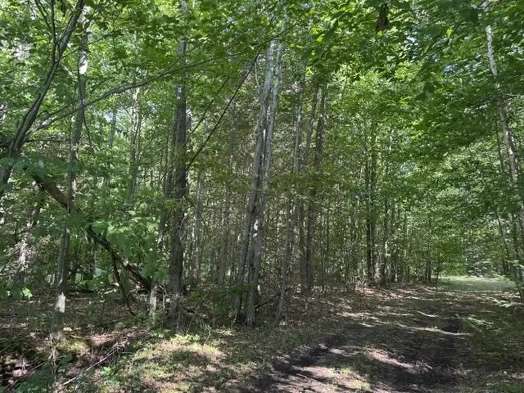 V/l Phelps Road Norwich Township MI 49651