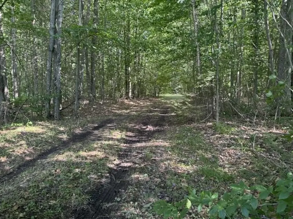 V/l Phelps Road Norwich Township MI 49651