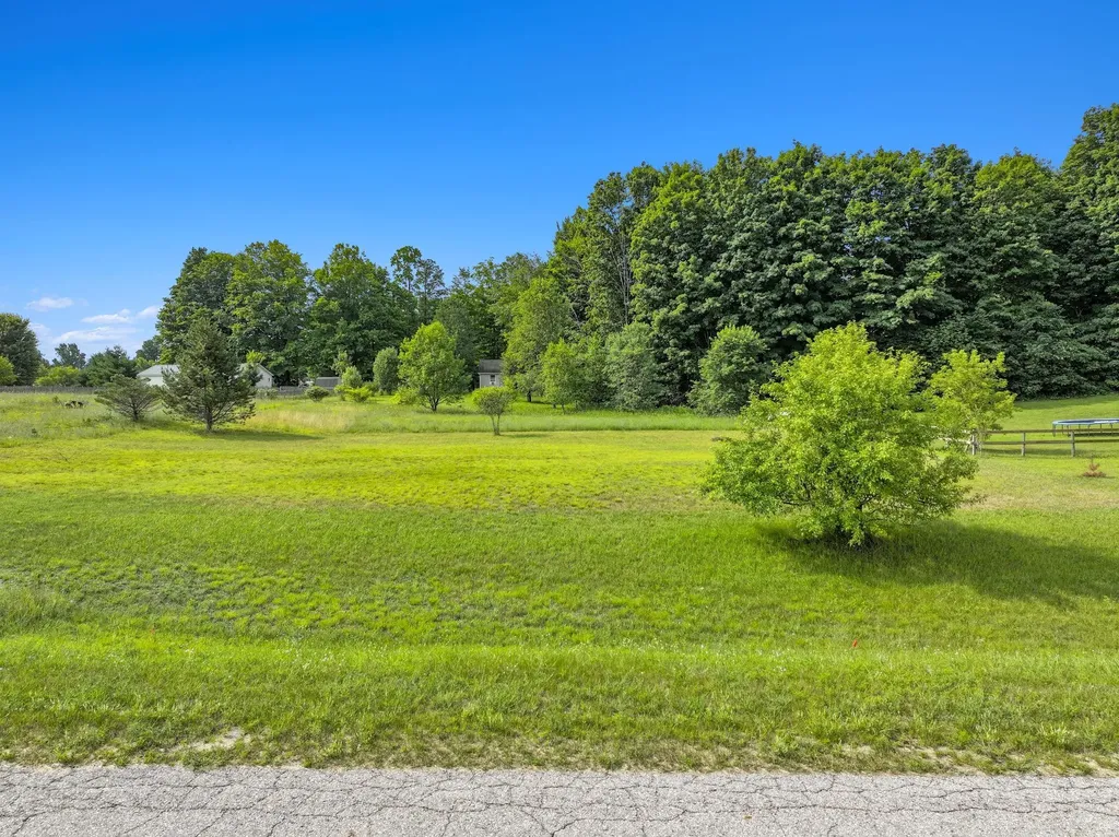 76 Acres N Wood Meadows Drive Hanover Township MI 49620