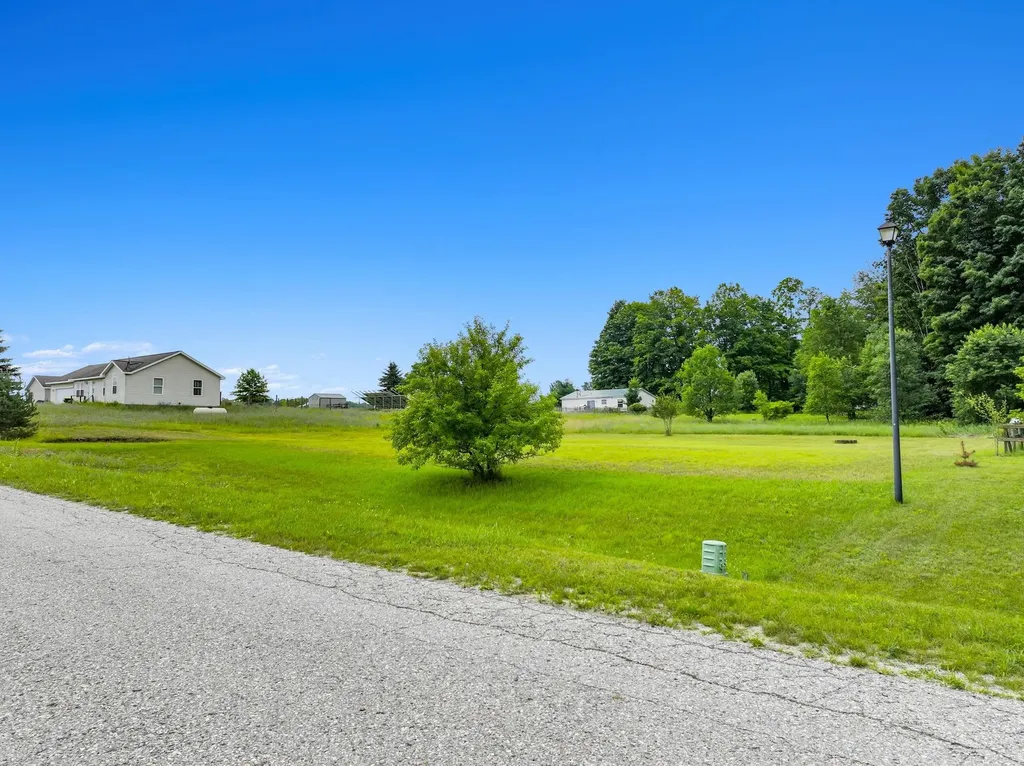 76 Acres N Wood Meadows Drive Hanover Township MI 49620