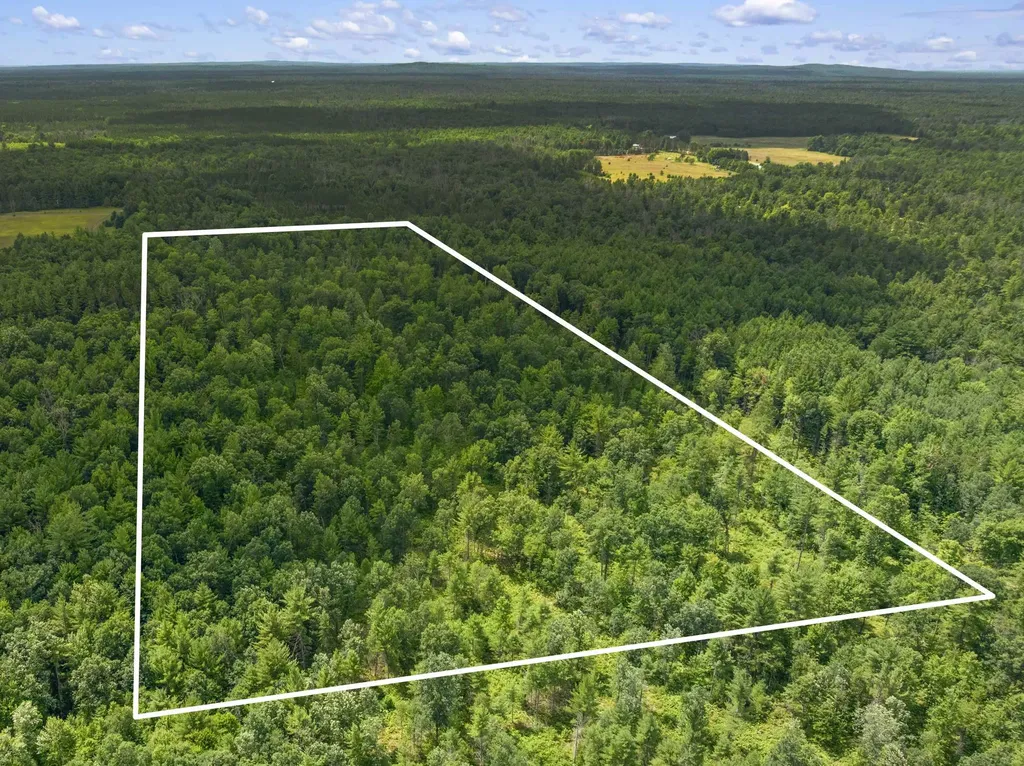 30 Acres W 48 1/2 Road South Branch Township MI 49689