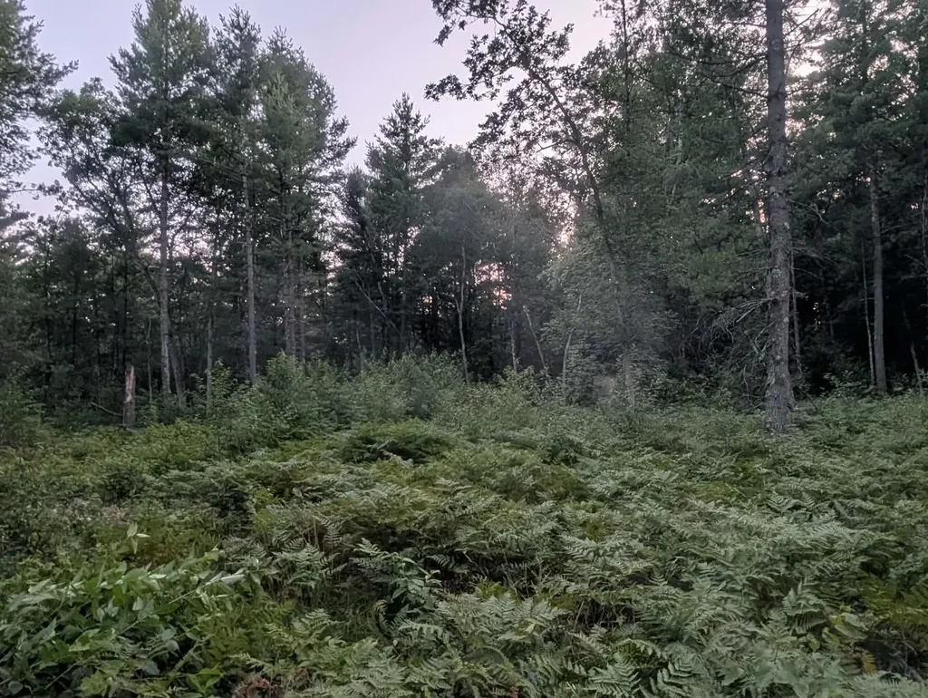 30 Acres W 48 1/2 Road South Branch Township MI 49689
