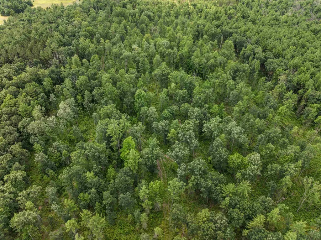 30 Acres W 48 1/2 Road South Branch Township MI 49689