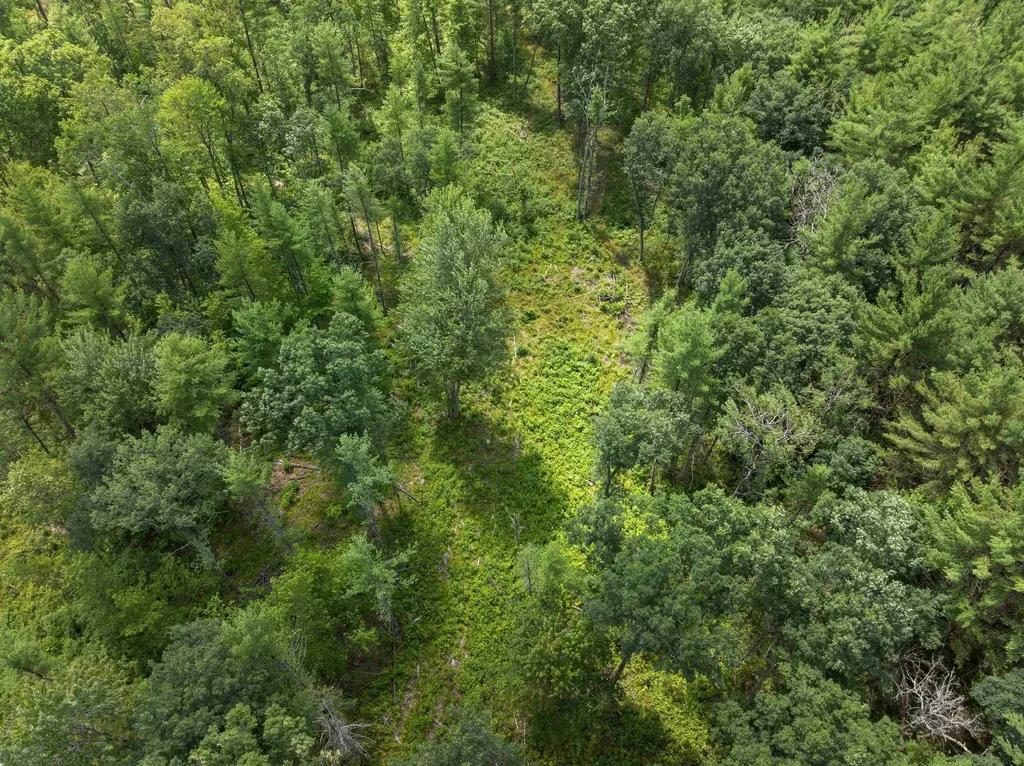 30 Acres W 48 1/2 Road South Branch Township MI 49689