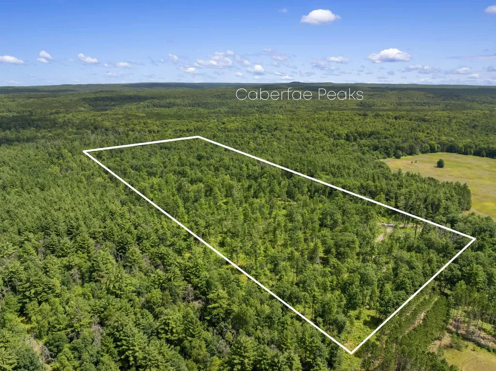 30 Acres W 48 1/2 Road South Branch Township MI 49689
