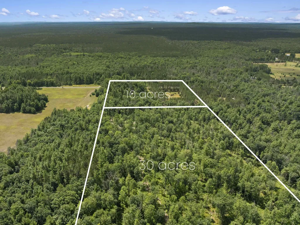 30 Acres W 48 1/2 Road South Branch Township MI 49689