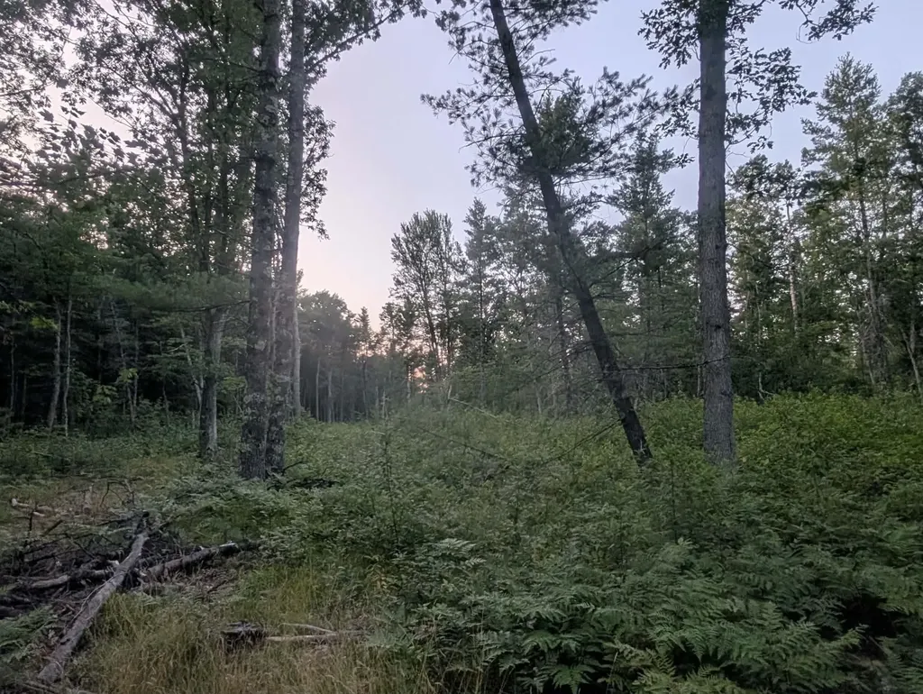 30 Acres W 48 1/2 Road South Branch Township MI 49689
