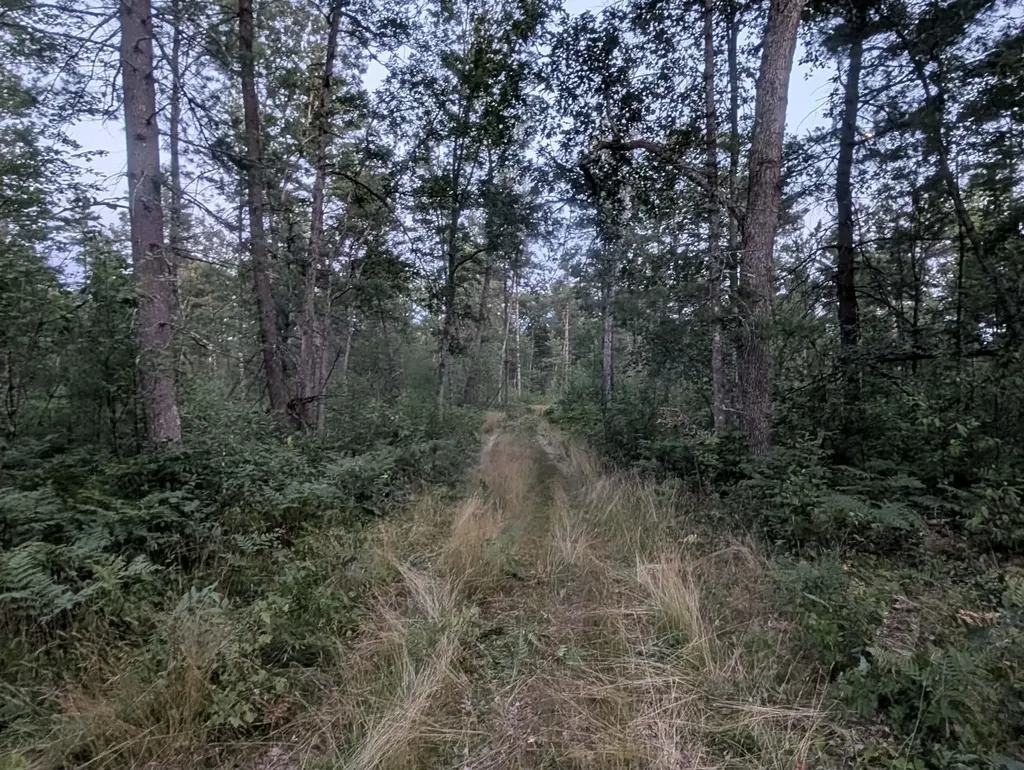 30 Acres W 48 1/2 Road South Branch Township MI 49689
