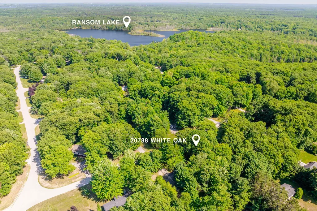 20788 White Oak Drive Almira Township MI 49650