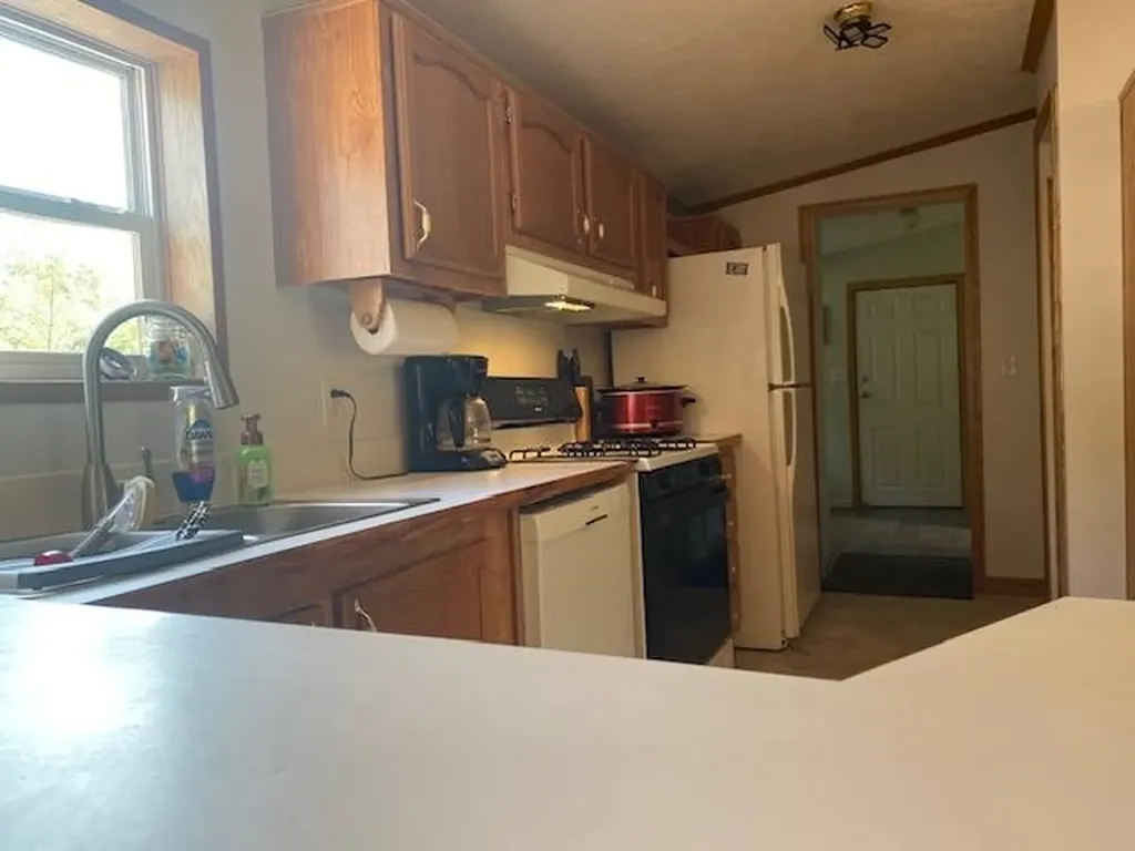10559 Rosted Road Lake Township MI 49651