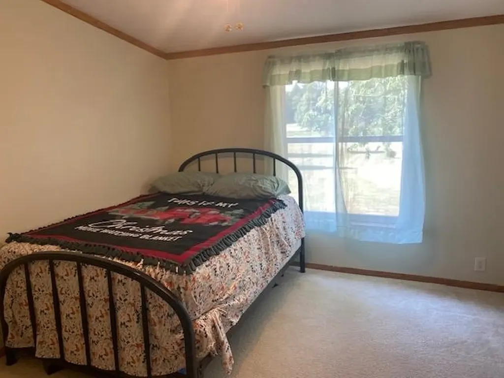 10559 Rosted Road Lake Township MI 49651
