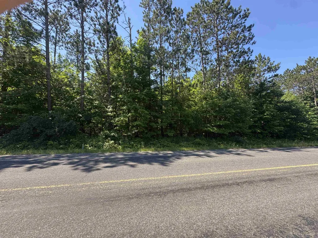 Ingersoll Road SW Springfield Township MI 49633