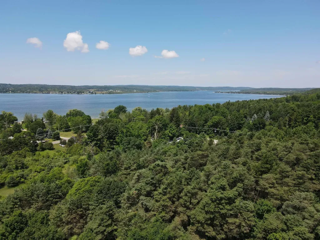 8087 S Bingham Ridge Drive Bingham Township MI 49684