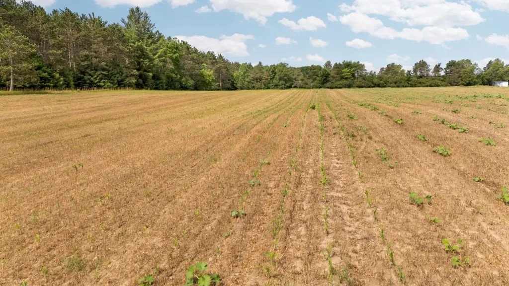 11222 Blackman Road Paradise Township MI 49649
