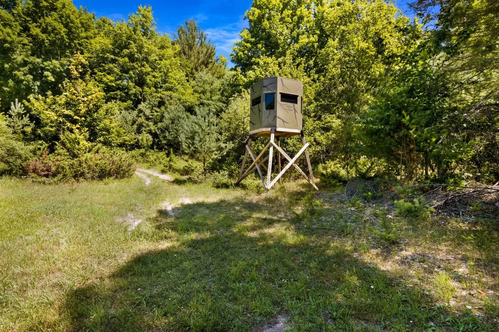 11215 Appleridge Trail Helena Township MI 49612