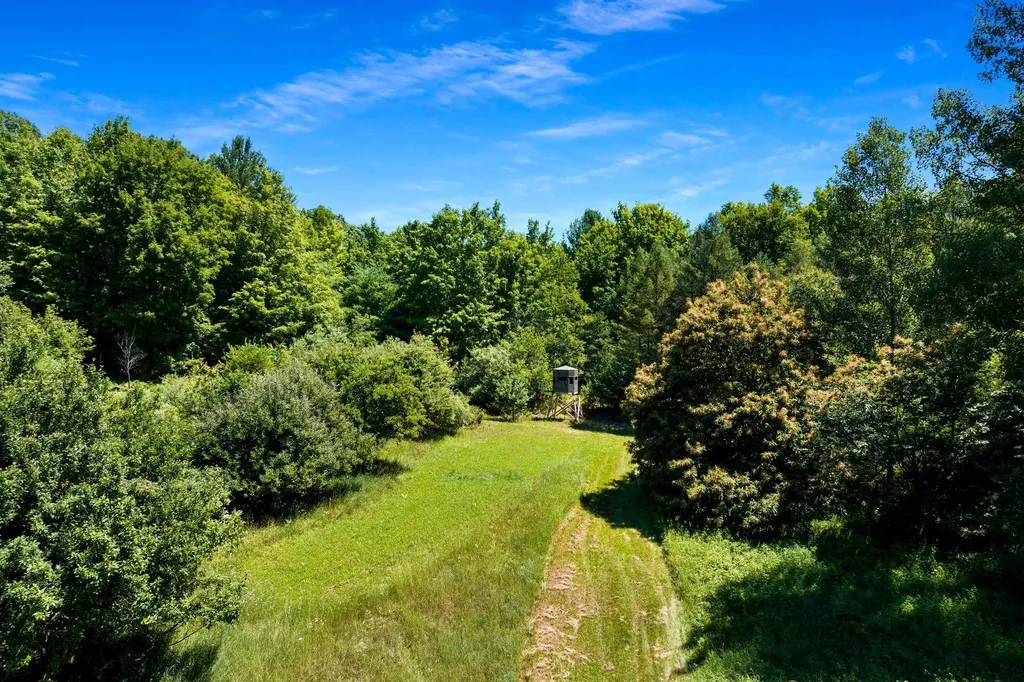 11215 Appleridge Trail Helena Township MI 49612