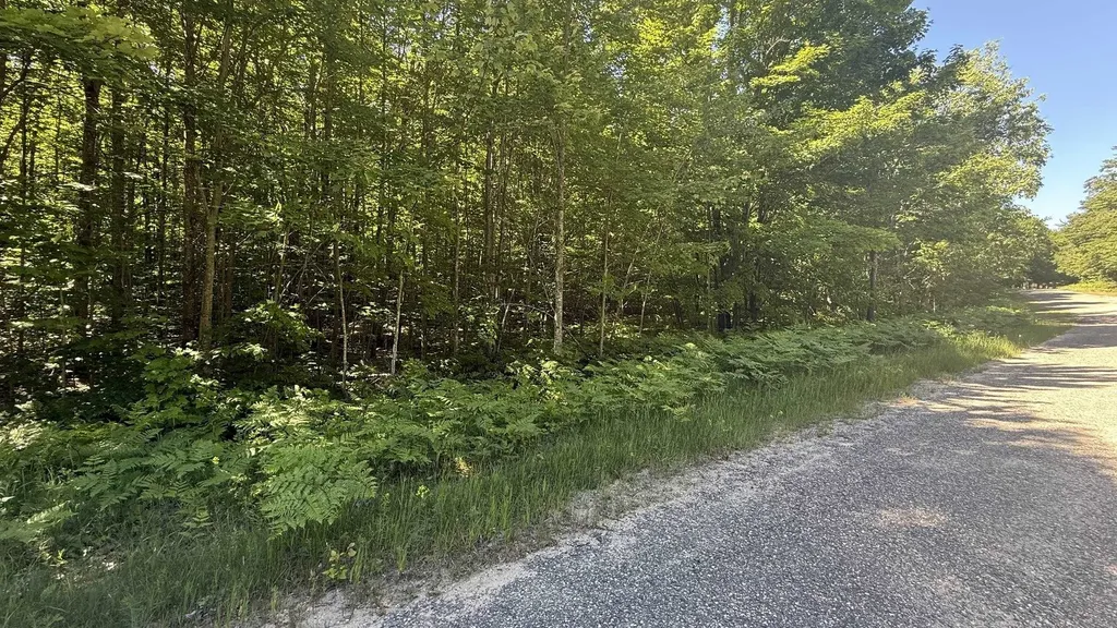 Lots 285 & 286 Acacia Drive Mancelona Township MI 49659