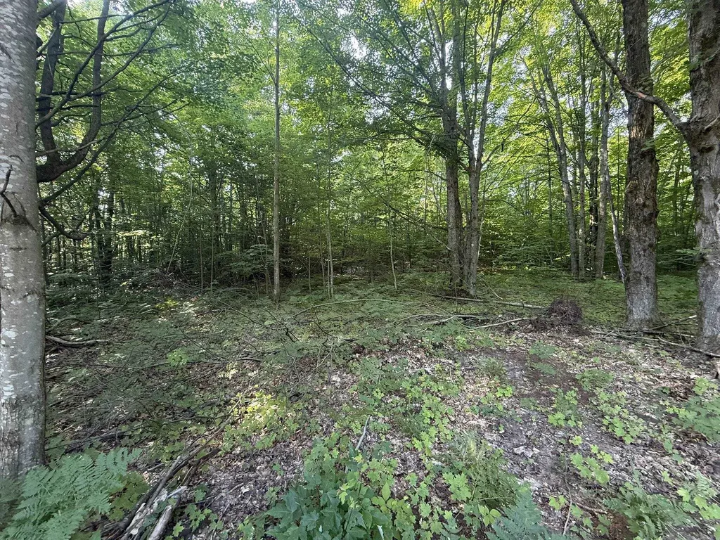 Lots 285 & 286 Acacia Drive Mancelona Township MI 49659