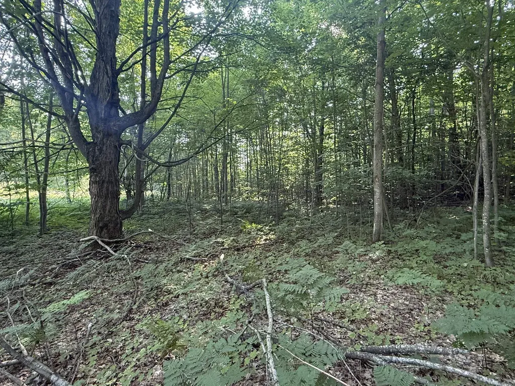 Lots 285 & 286 Acacia Drive Mancelona Township MI 49659