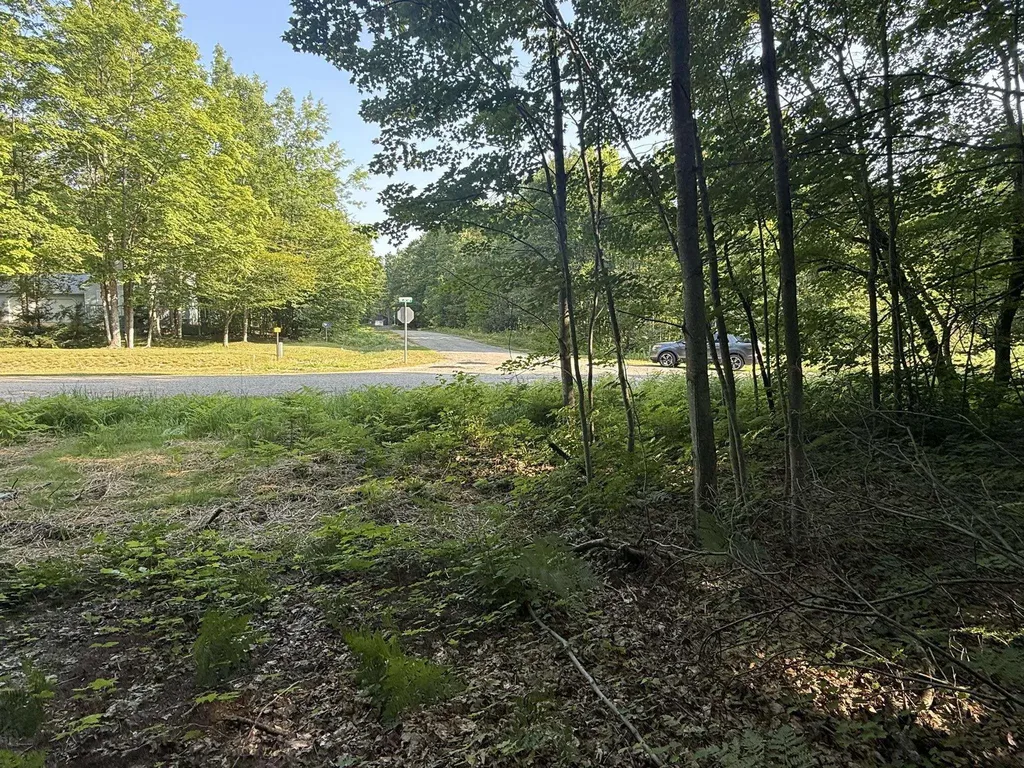 Lots 285 & 286 Acacia Drive Mancelona Township MI 49659