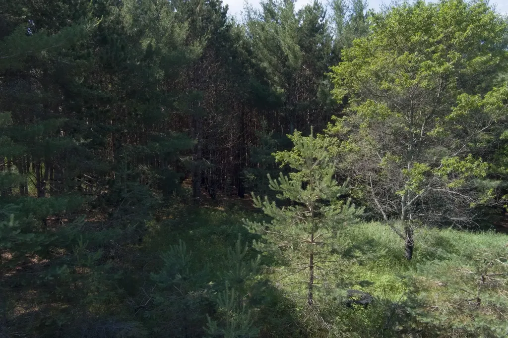 000 Westminister Road Paradise Township MI 49649