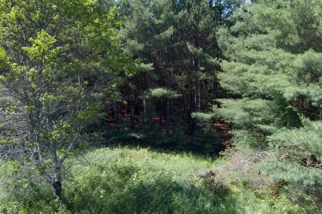 000 Westminister Road Paradise Township MI 49649
