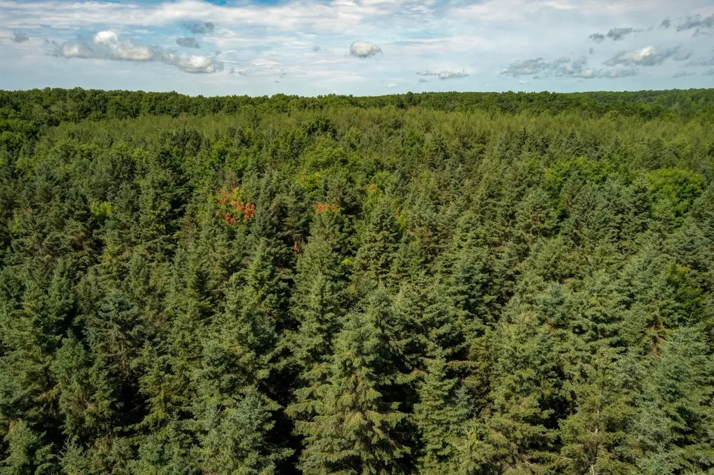 000 Westminister Road Paradise Township MI 49649