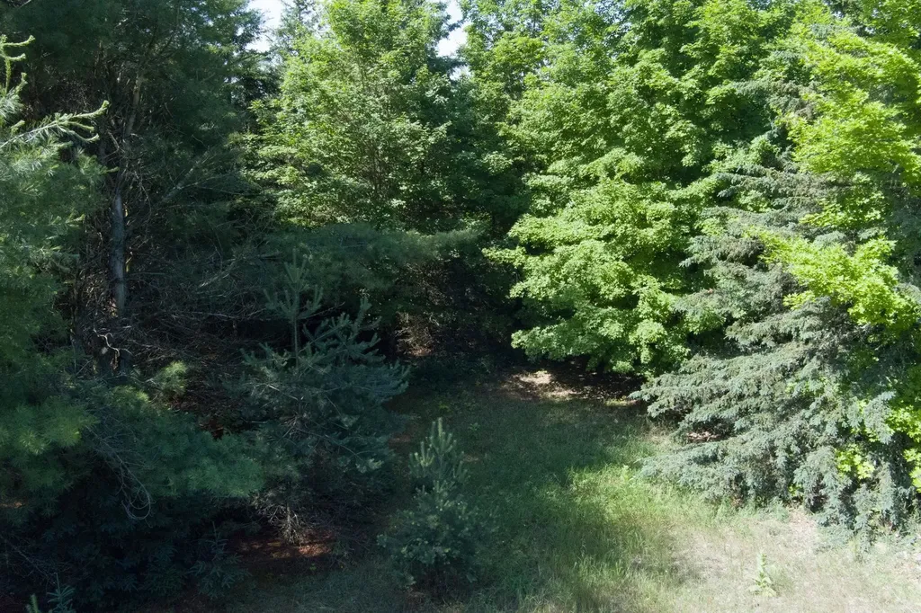 000 Westminister Road Paradise Township MI 49649