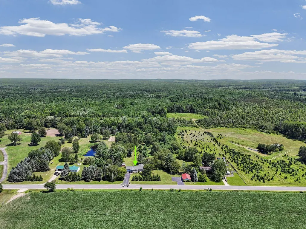 2181 S Mcgee Road Reeder Township MI 49651