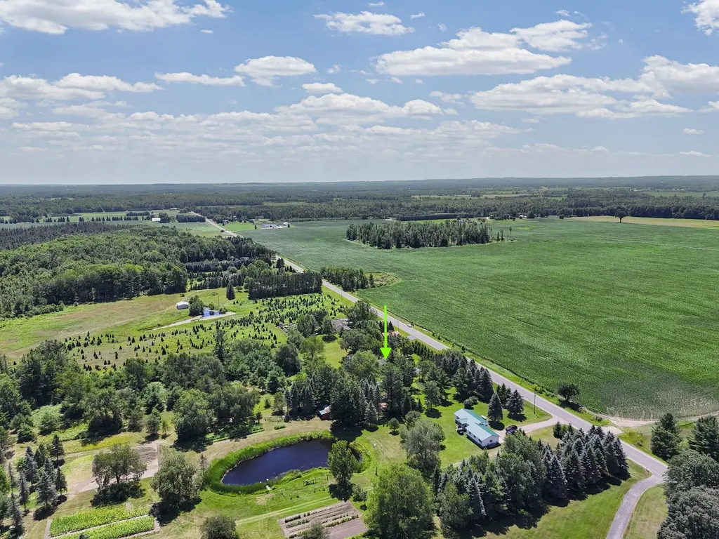 2181 S Mcgee Road Reeder Township MI 49651
