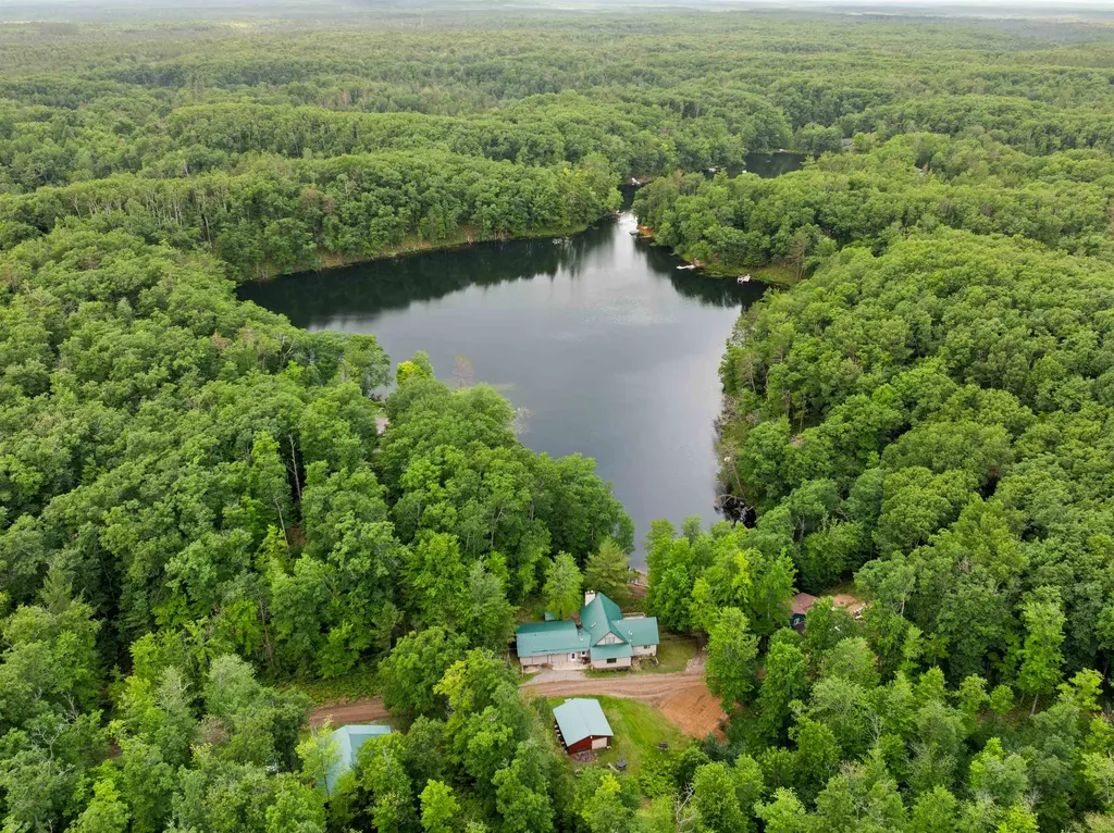 5290 E Twin Lake Road Big Creek Township MI 48654