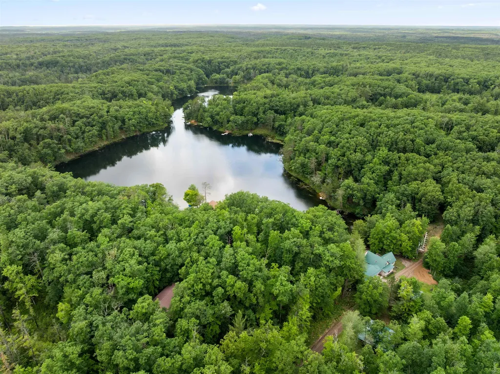 5290 E Twin Lake Road Big Creek Township MI 48654