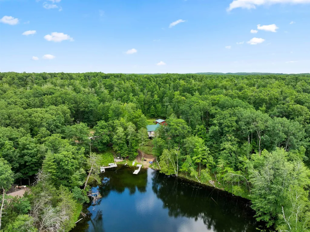 5290 E Twin Lake Road Big Creek Township MI 48654