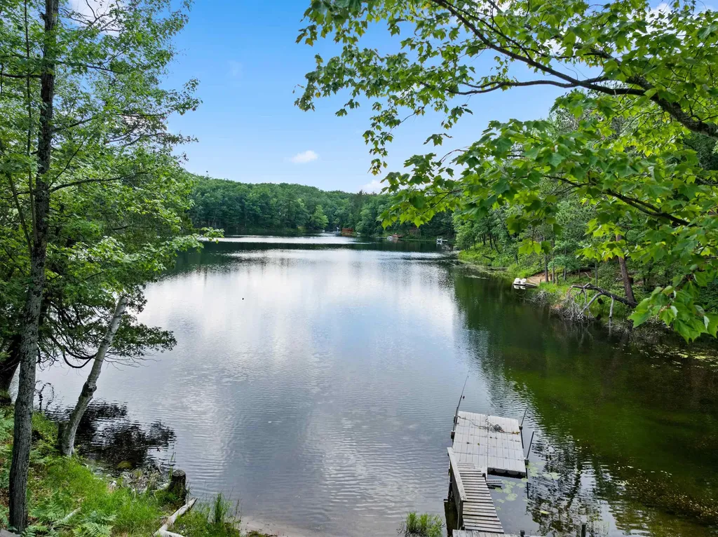 5290 E Twin Lake Road Big Creek Township MI 48654