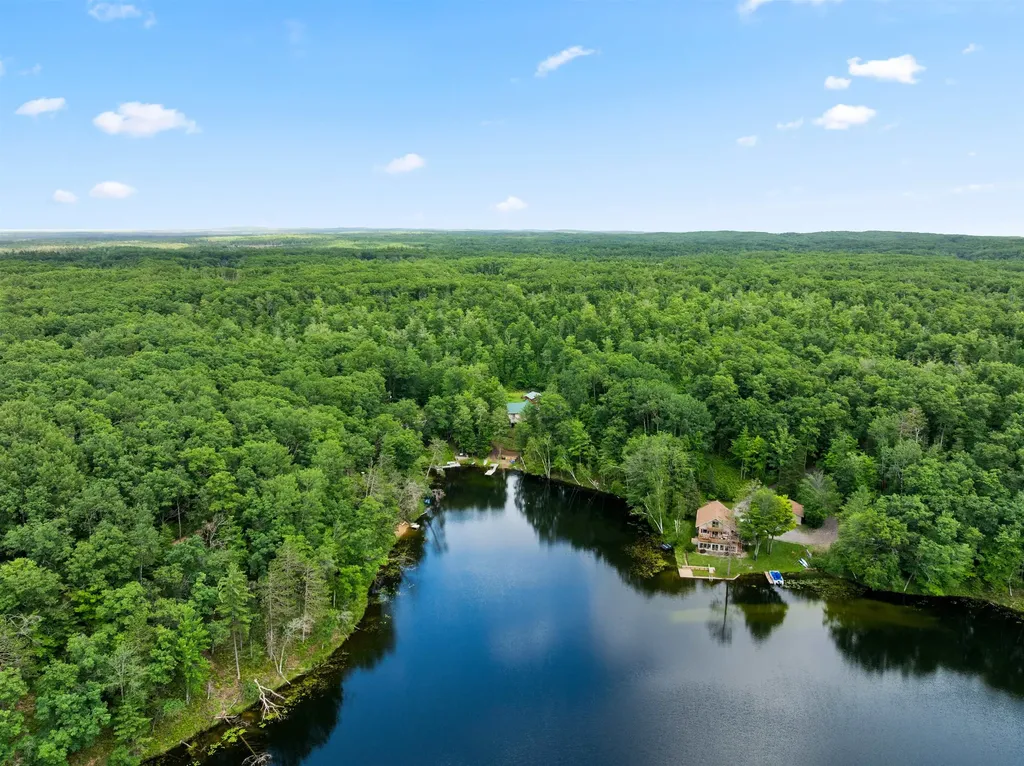5290 E Twin Lake Road Big Creek Township MI 48654