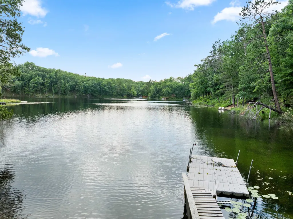 5290 E Twin Lake Road Big Creek Township MI 48654