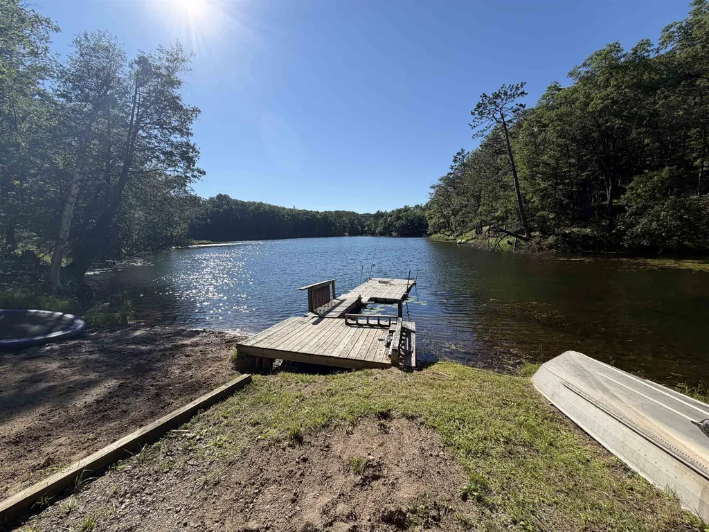 5290 E Twin Lake Road Big Creek Township MI 48654